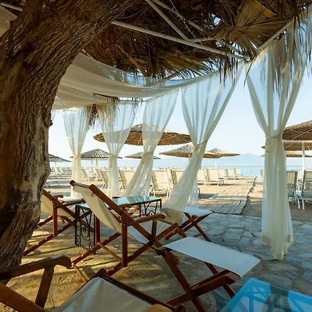 Charm Hotel 4*
